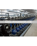 Changzhou New Zone Kexu Textile Co., Ltd.
